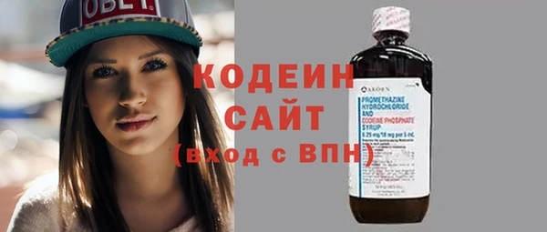 шишки Бородино